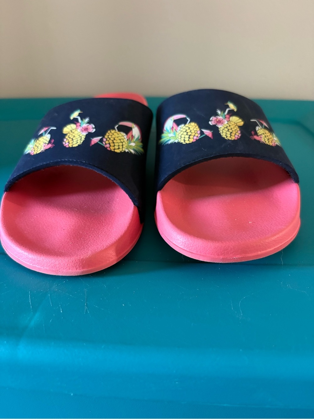Pineapple Beach Slide Sandals - Pink/Navy